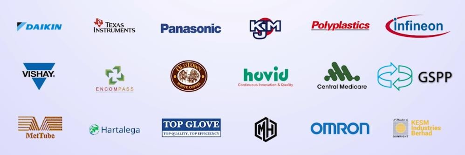 Client logos shown in DS Venture Solutions company profile